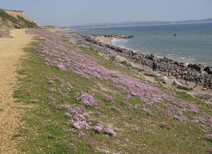 A view at Barton-on-Sea